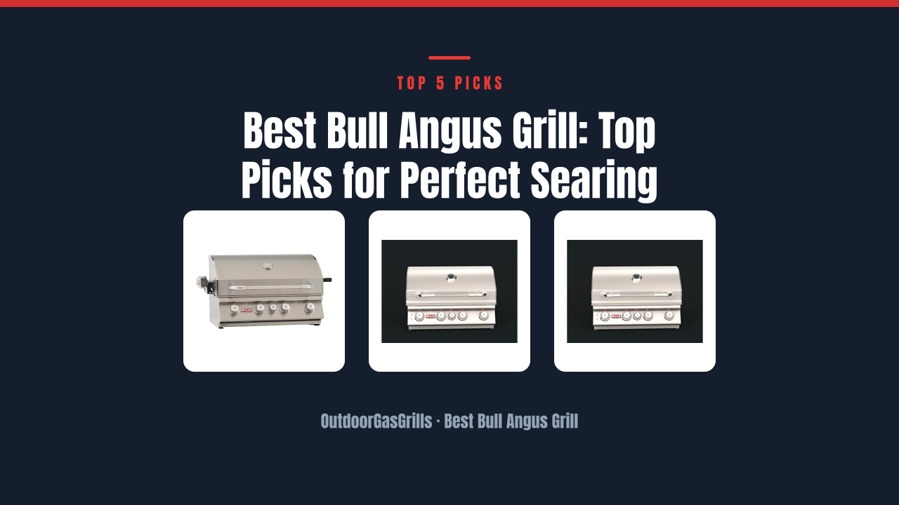 Best Bull Angus Grill: Top Picks for Perfect Searing