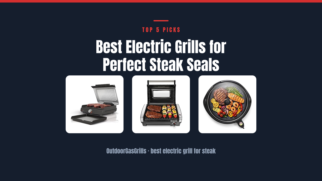 Best Electric Grills for Perfect Steak Seals