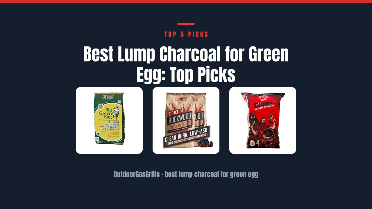 Best Lump Charcoal for Green Egg: Top Picks