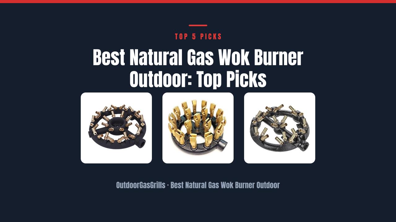 Best Natural Gas Wok Burner Outdoor: Top Picks