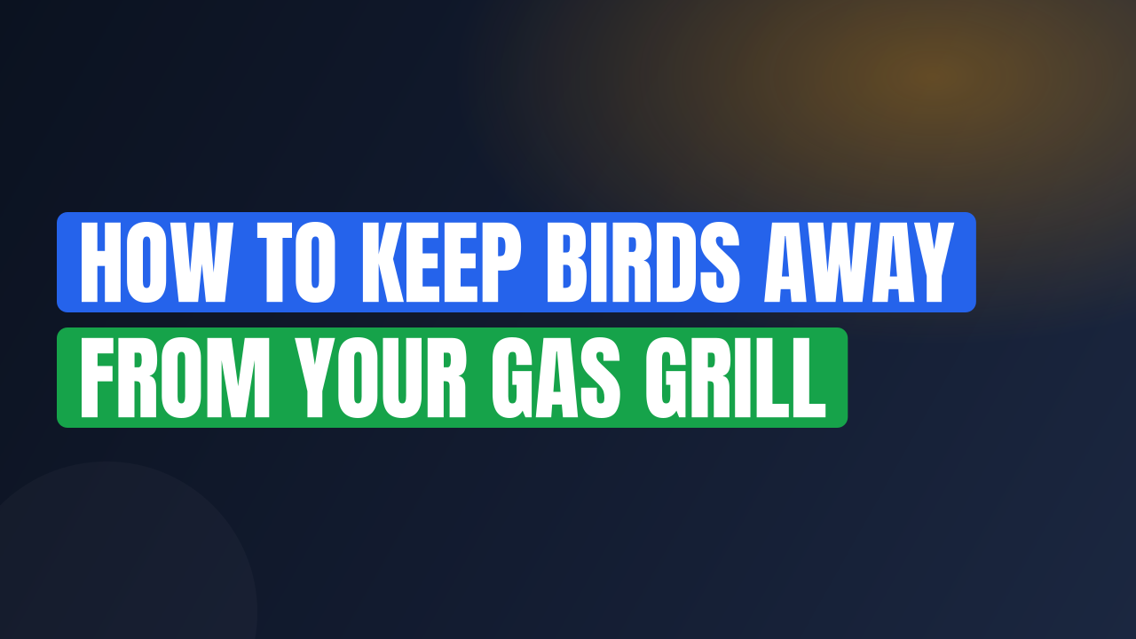 How to Keep Birds Away From Your Gas Grill