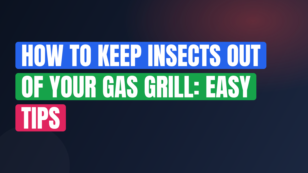 How to Keep Insects Out of Your Gas Grill: Easy Tips