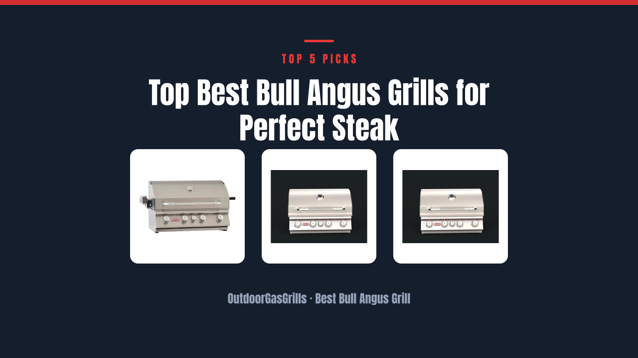 Top Best Bull Angus Grills for Perfect Steak