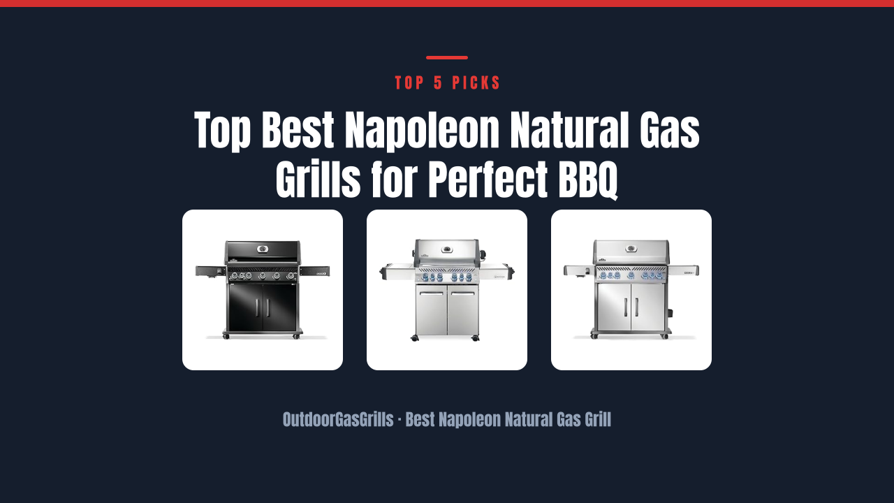 Top Best Napoleon Natural Gas Grills for Perfect BBQ