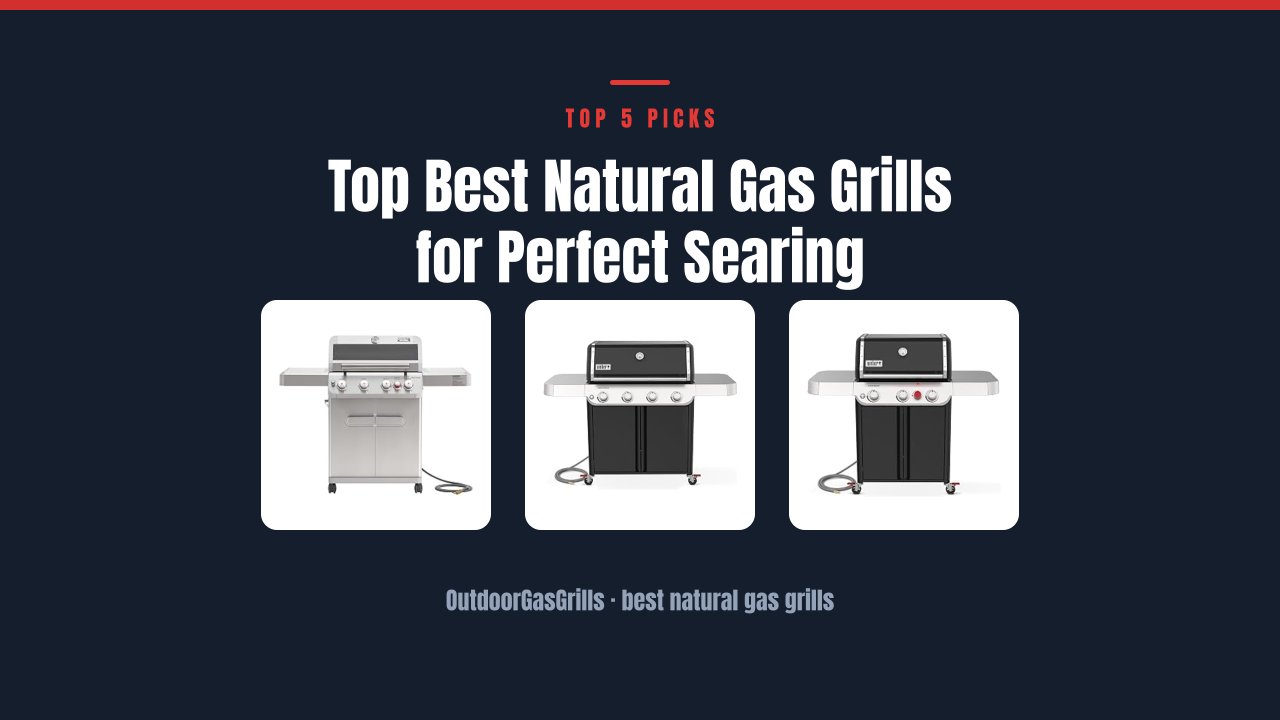 Top Best Natural Gas Grills for Perfect Searing