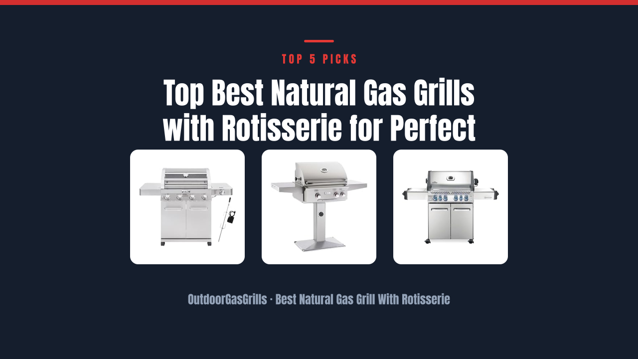 Top Best Natural Gas Grills with Rotisserie for Perfect
