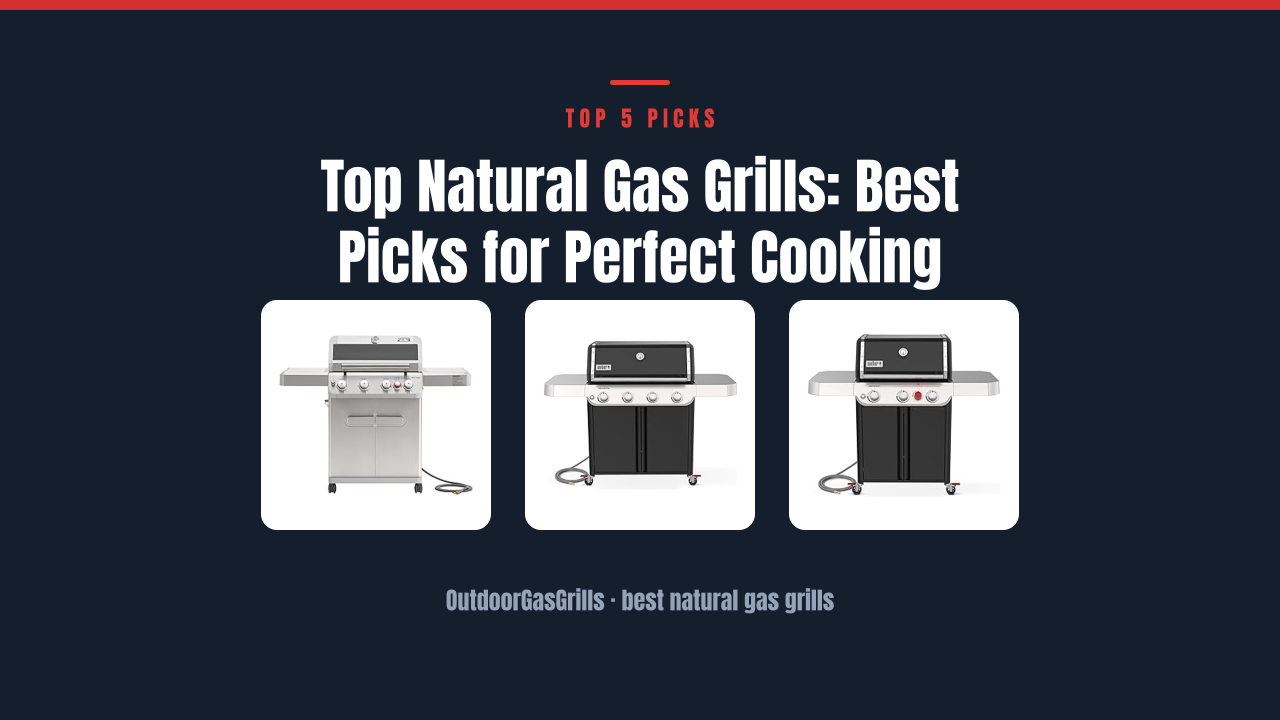 Top Natural Gas Grills: Best Picks for Perfect Cooking